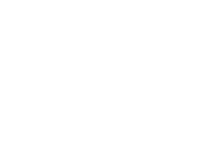 Porsches d'occasion entretenues